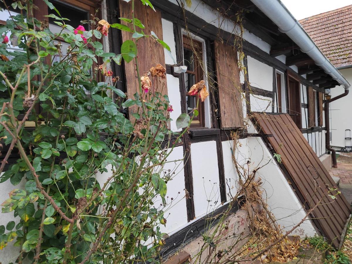 Petite Maison Alsacienne Villa Entzheim Bagian luar foto